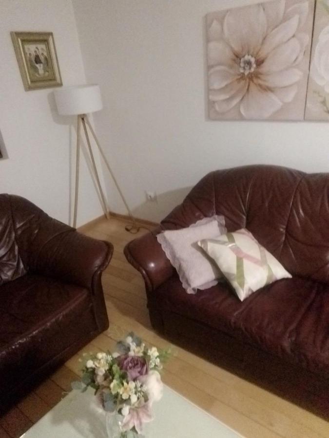 Ferienwohnung Nektar 88 Vrnjačka Banja Exterior foto